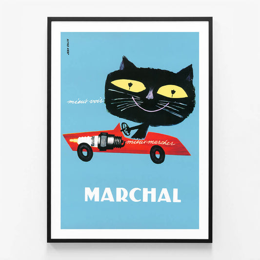 Marchal Cat