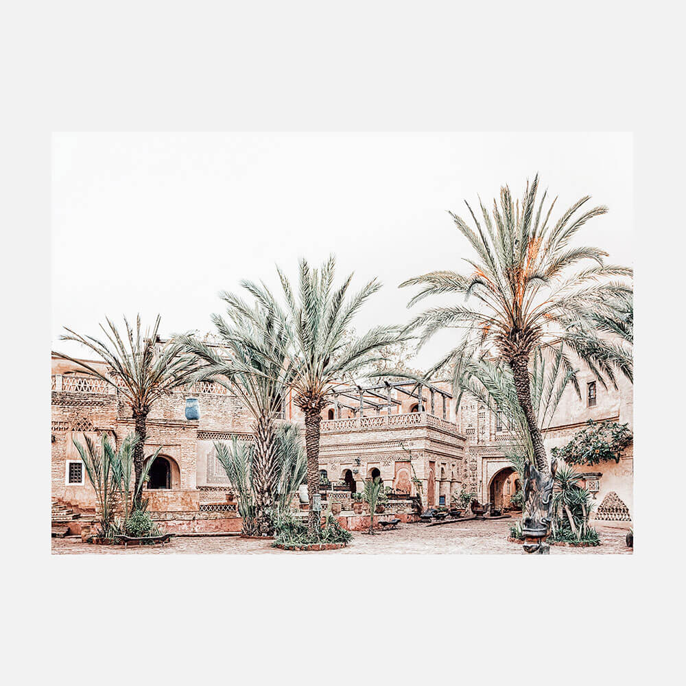 Medina Palms