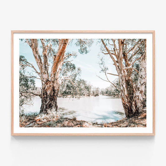 A framed photographic print featuring trees along the banks of the Murray river.