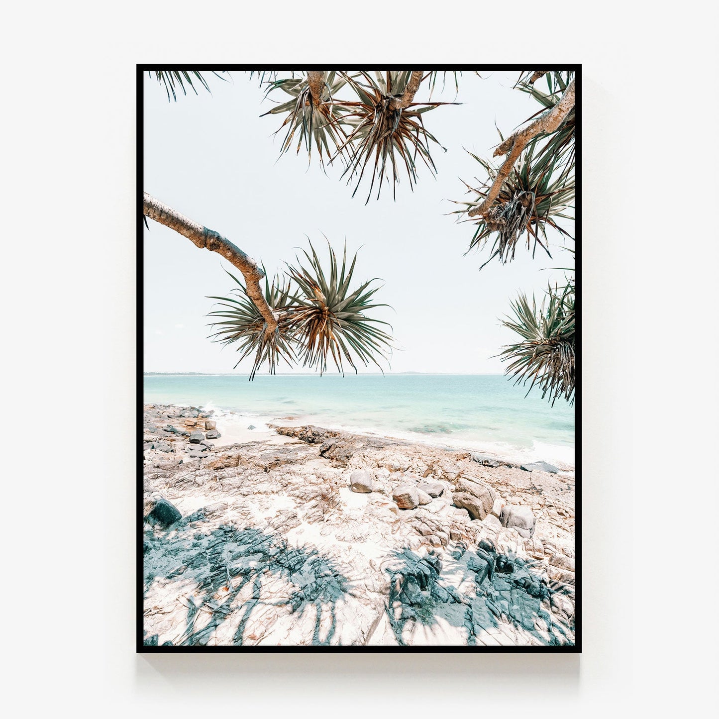 Noosa Palms Canvas