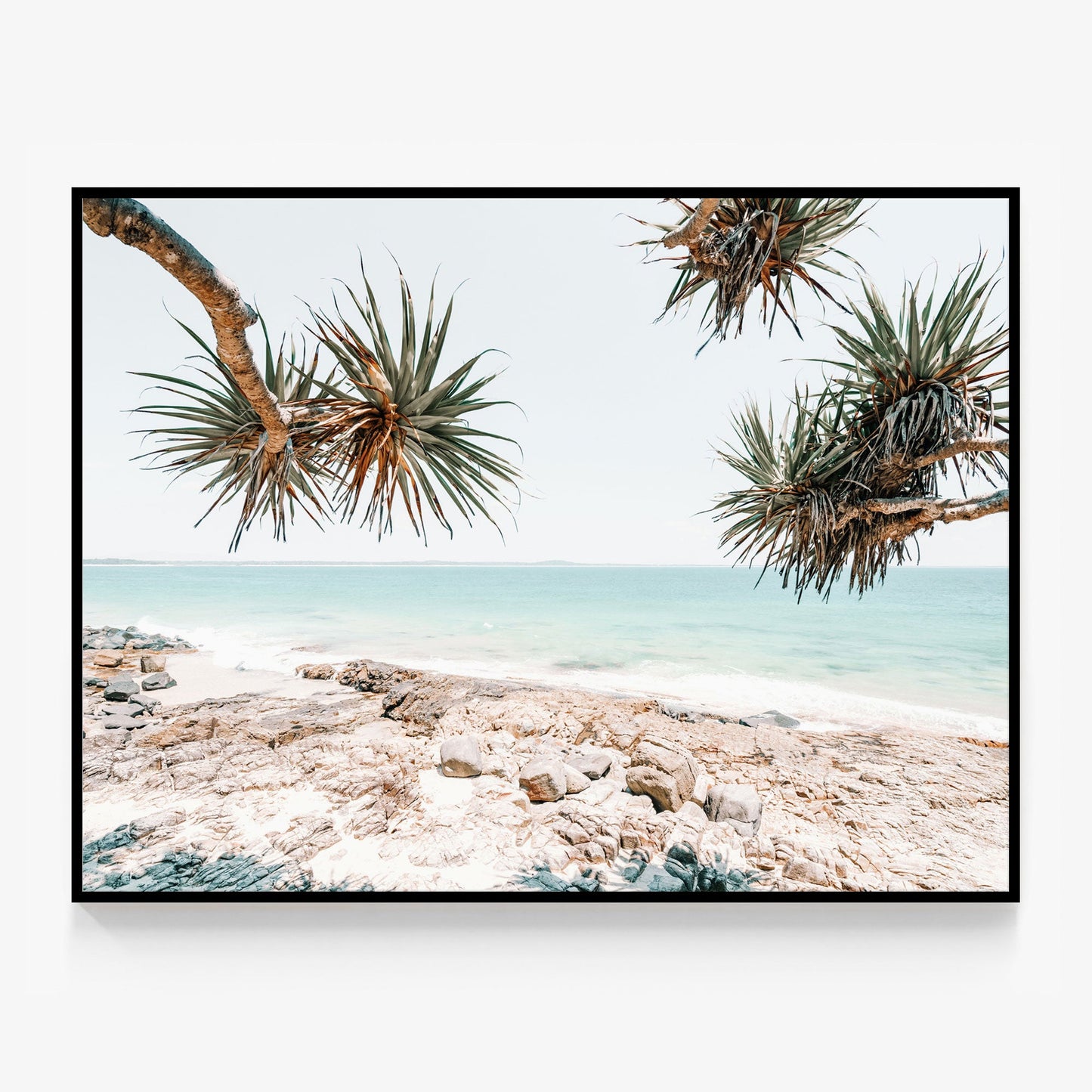 Noosa Rocks Canvas