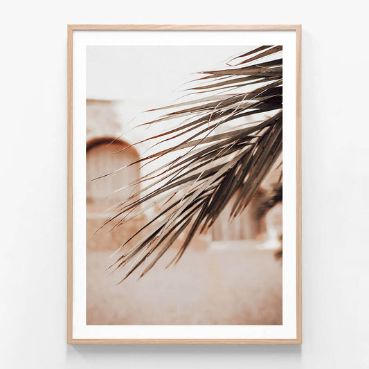 Old Town Palm