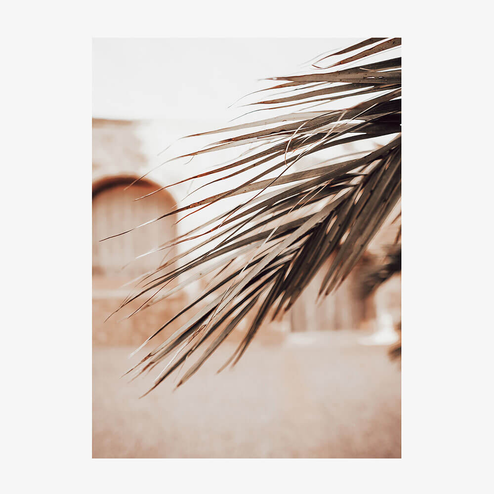 Old Town Palm