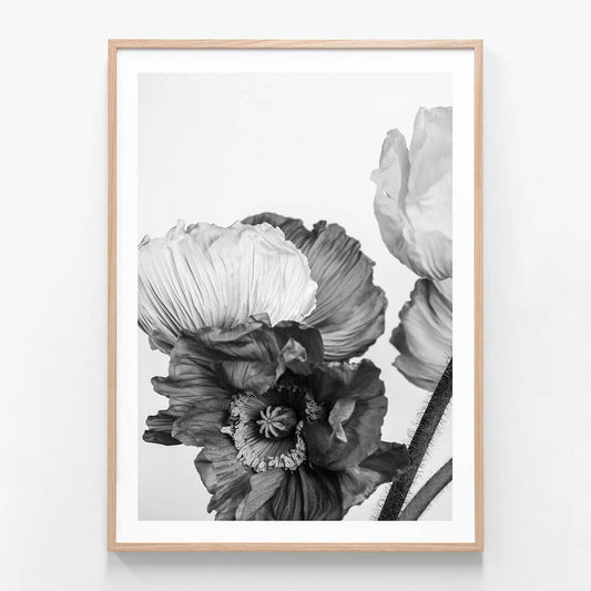 Oriental Poppies 3 wall art print in oak frame