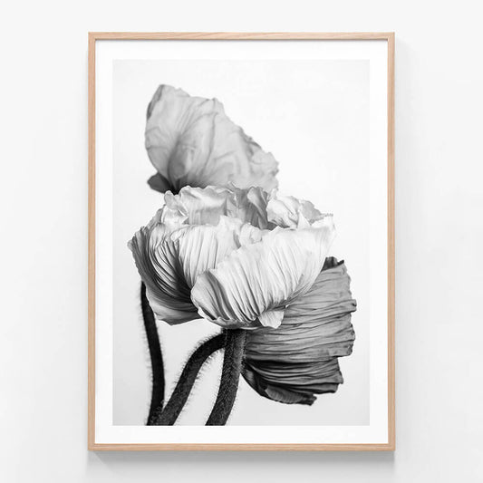 Oriental Poppies wall art print in oak frame