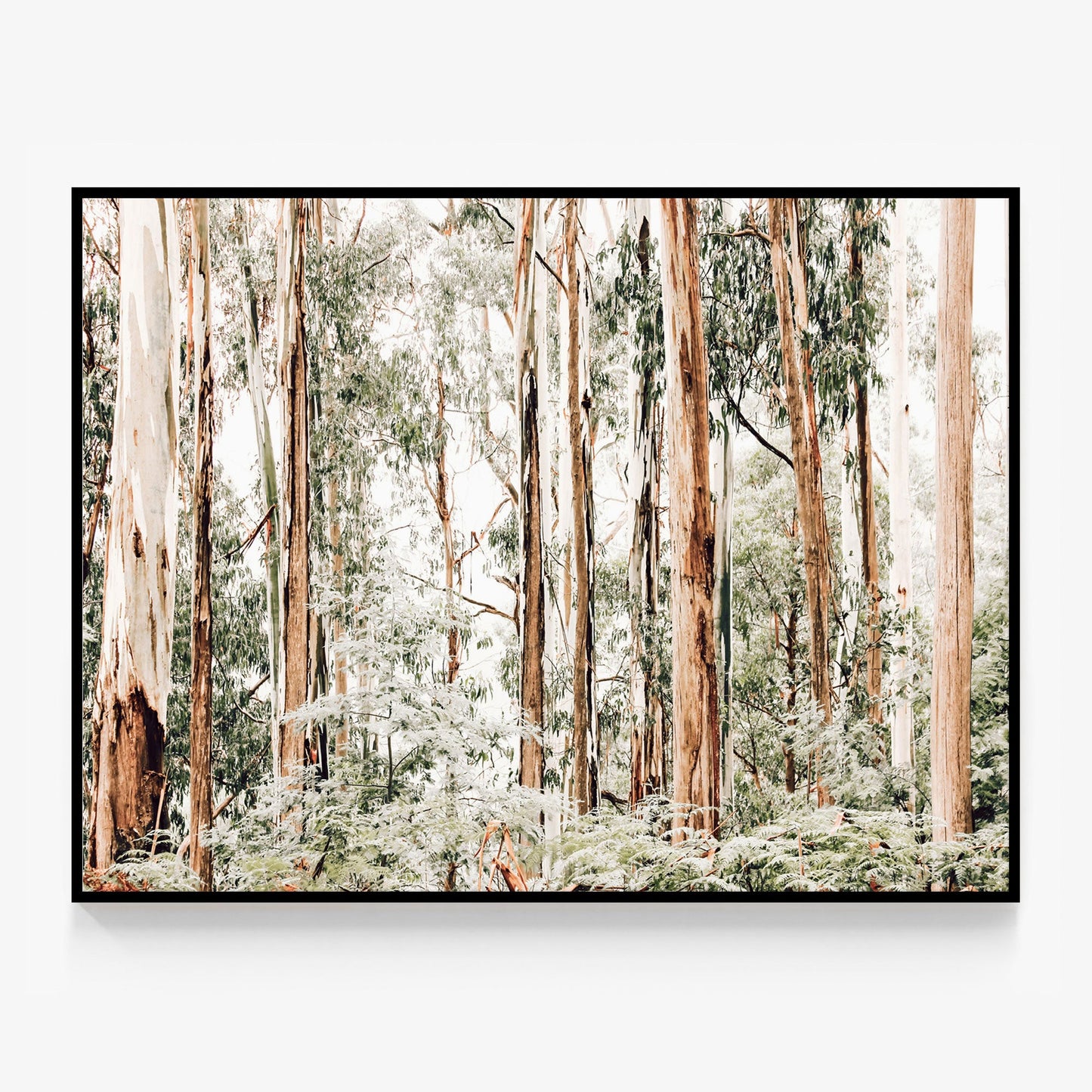 Otways Canvas