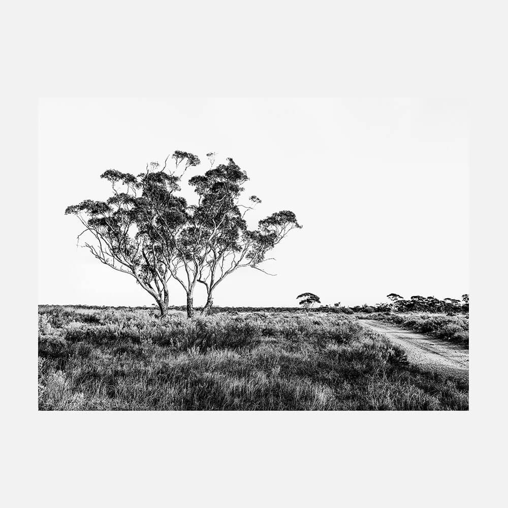 Outback Road B&W
