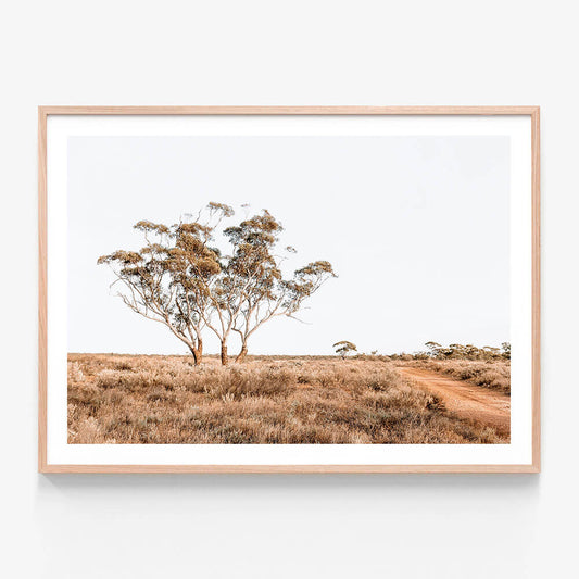A framed photography print featuring the Australian outback landscape. A single gum tree and a farm road.