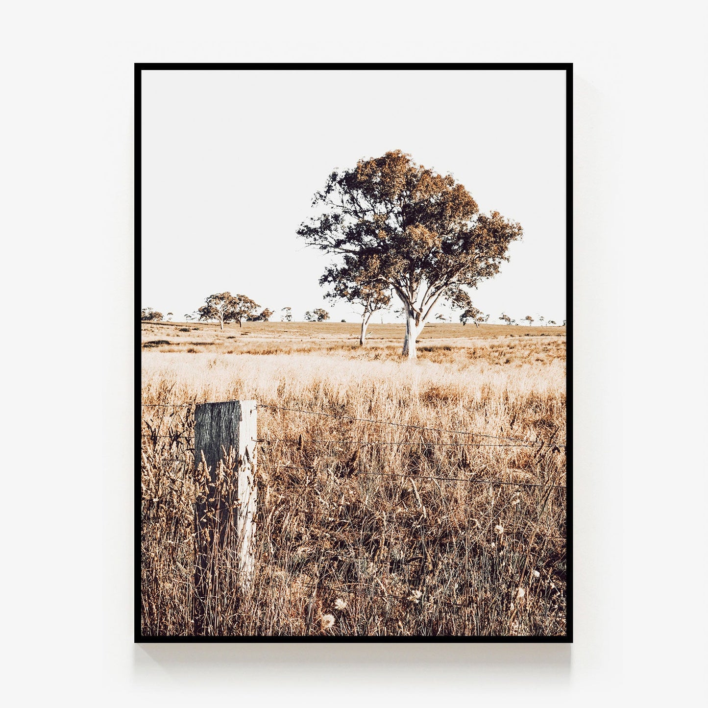 Outback View Canvas
