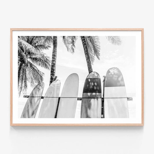 Palm Boards B&W