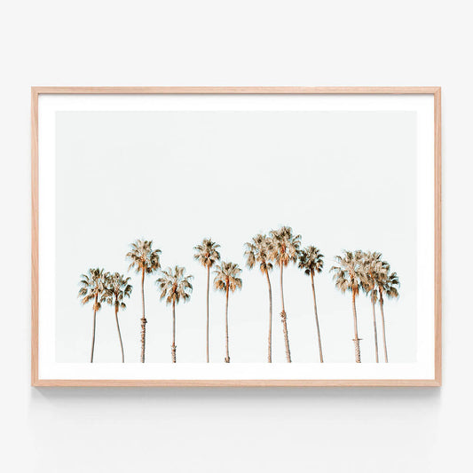 Palm Line