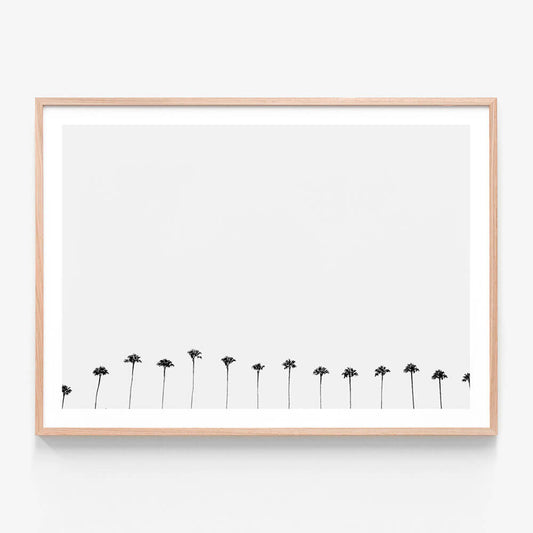 Palm Row