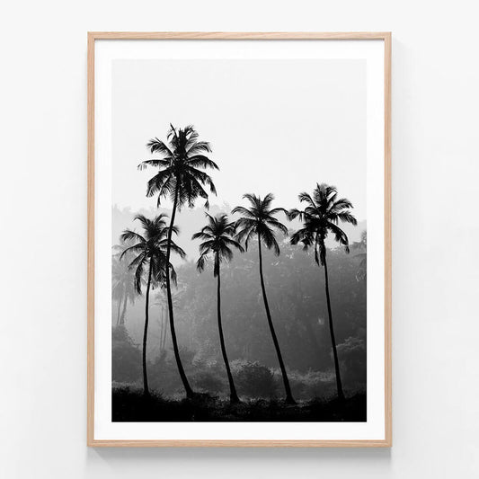 Palm Silhouette