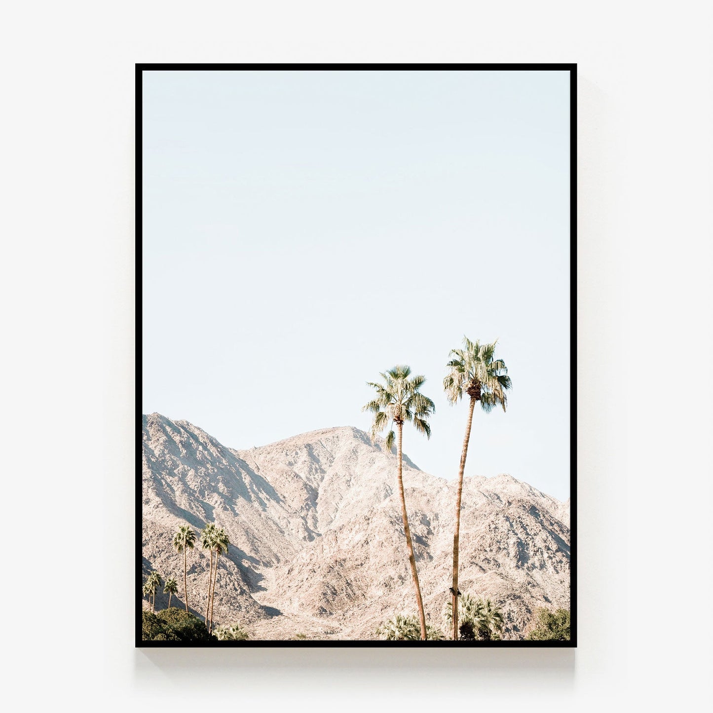 Palm Springs Mountains Canvas