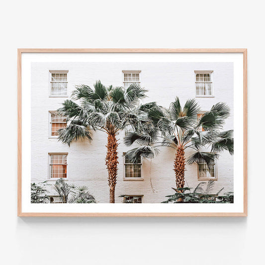 Palm Villa