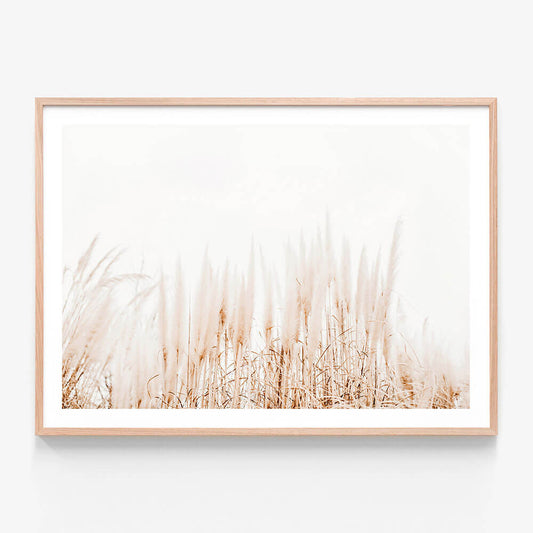 A framed photo wall art print featuring tall, dry grasses in beige and white tones, evoking a coastal or hamptons-style aesthetic.