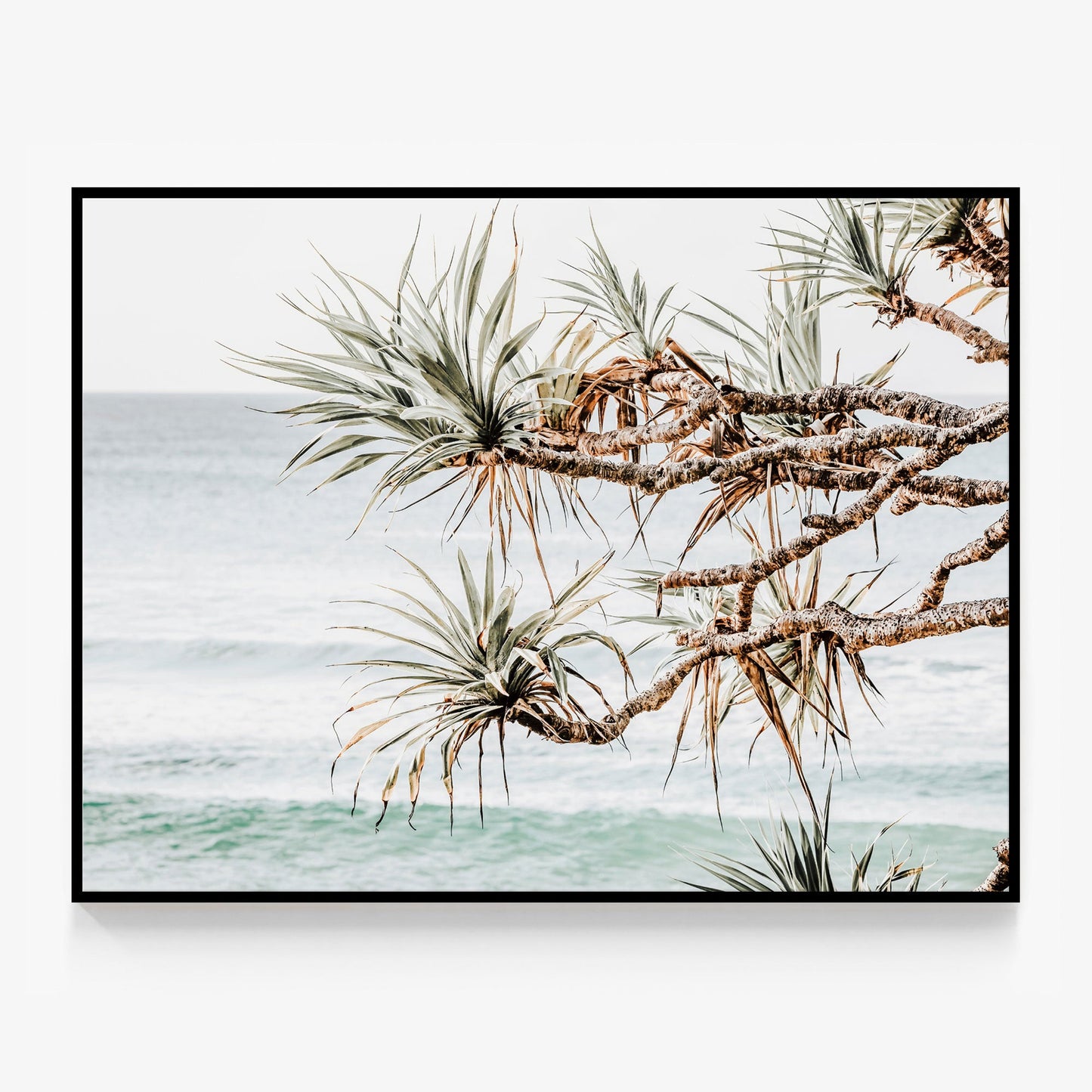 Pandanus View Canvas