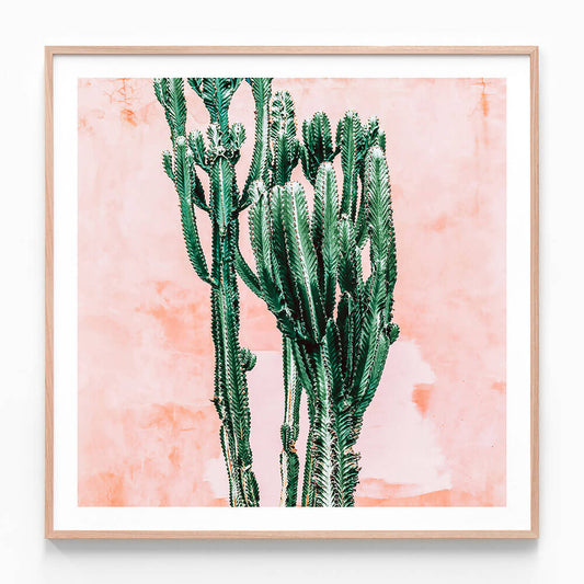 Pastel Cacti No. 2