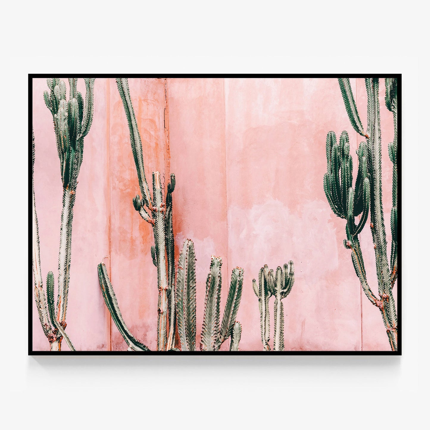 Pastel Cacti Canvas