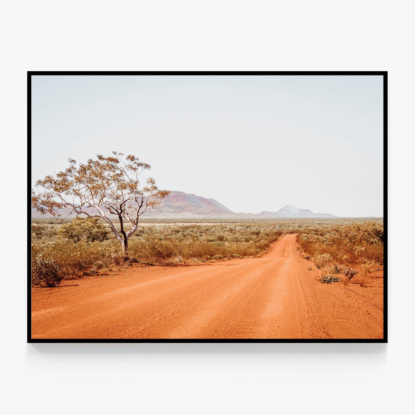 Red Centre Canvas