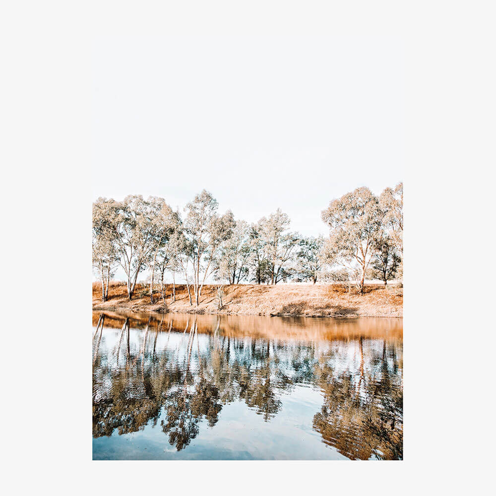 River Banks