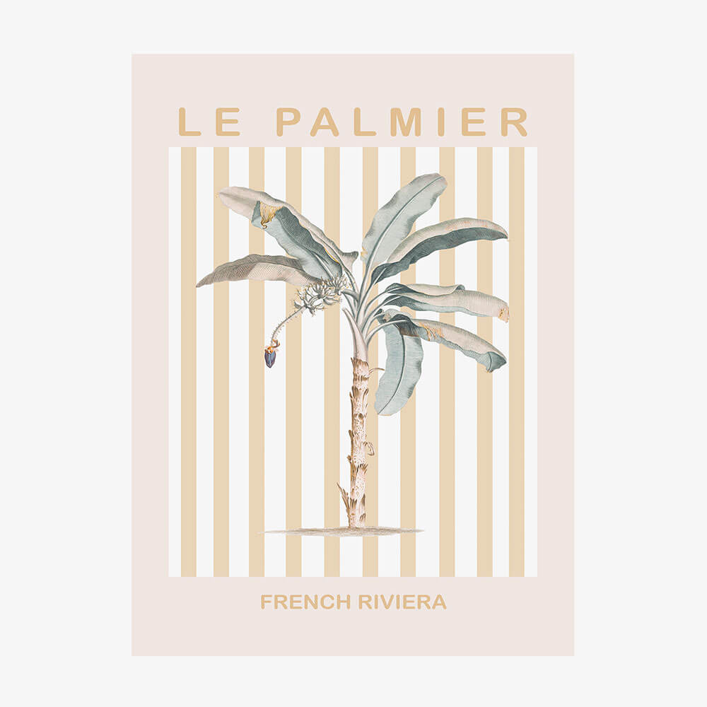 Riviera Palm Tree