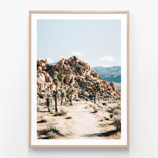 Rock Trail