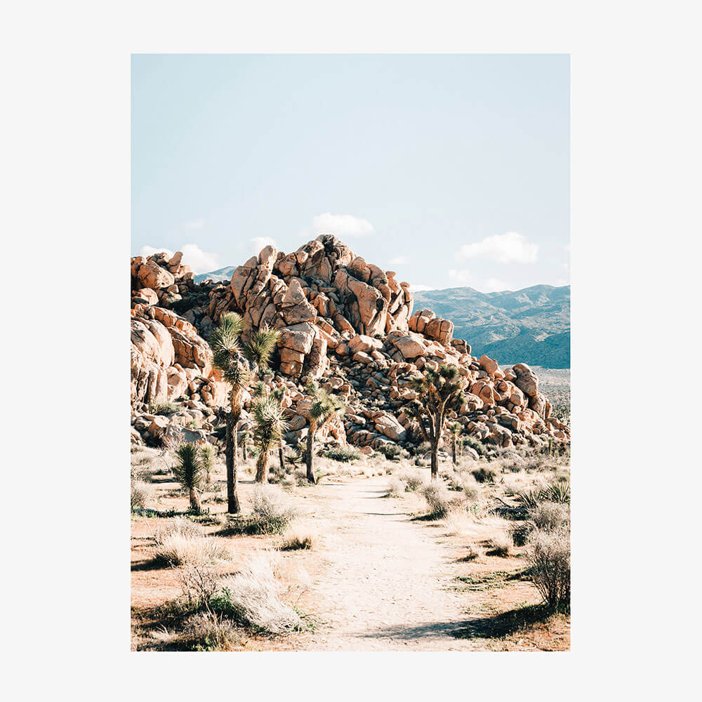 Rock Trail