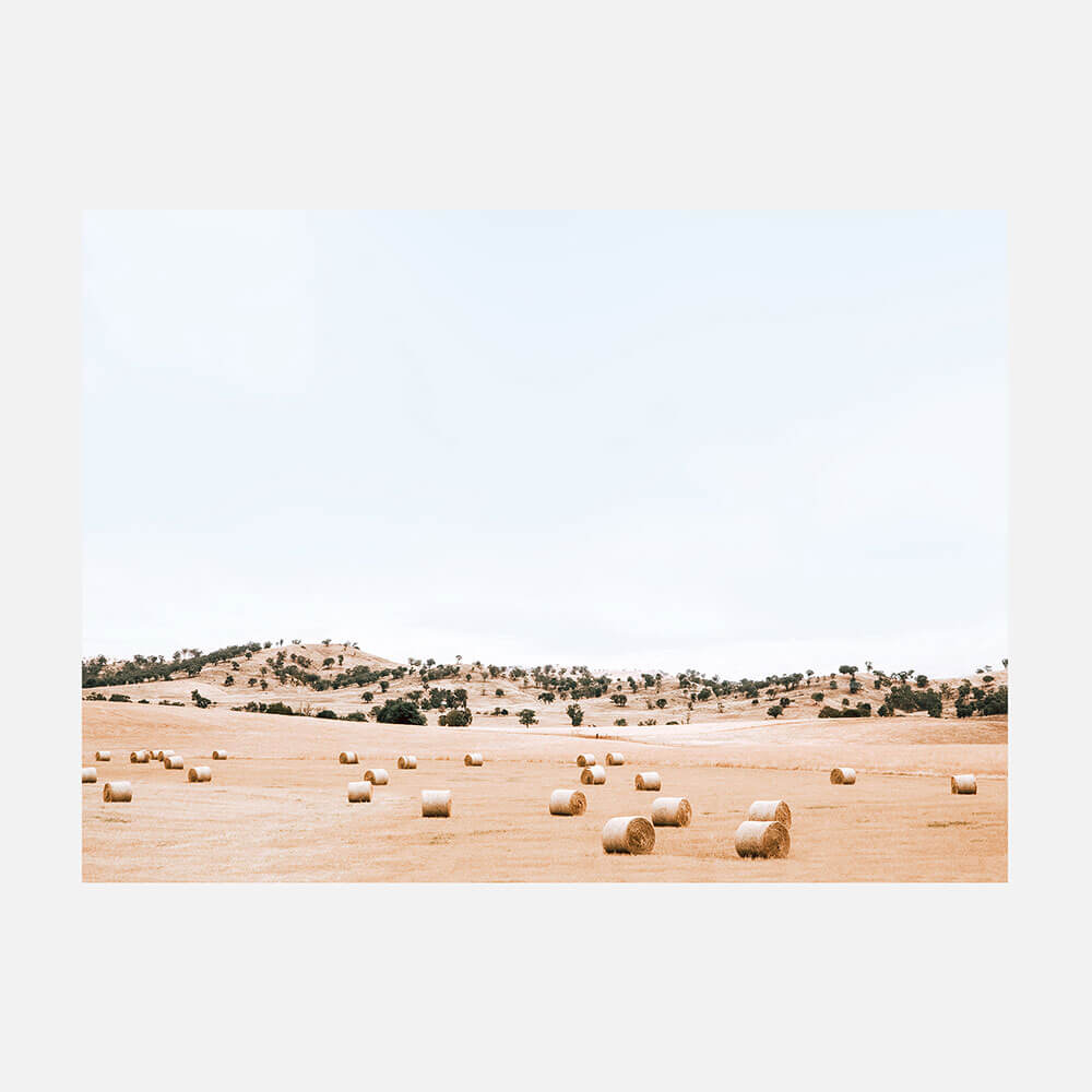 Rolling Bales
