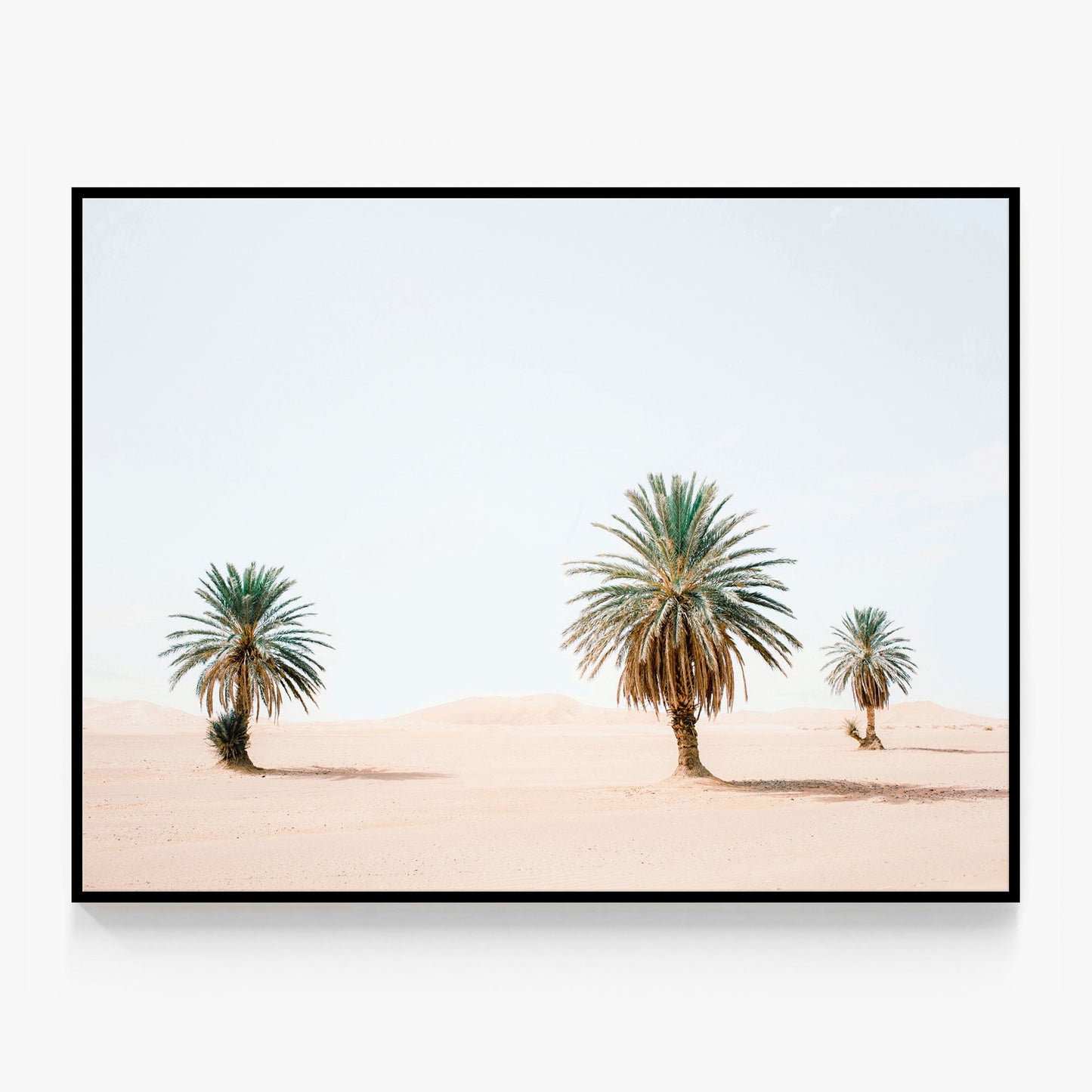 Sandy Palms Canvas