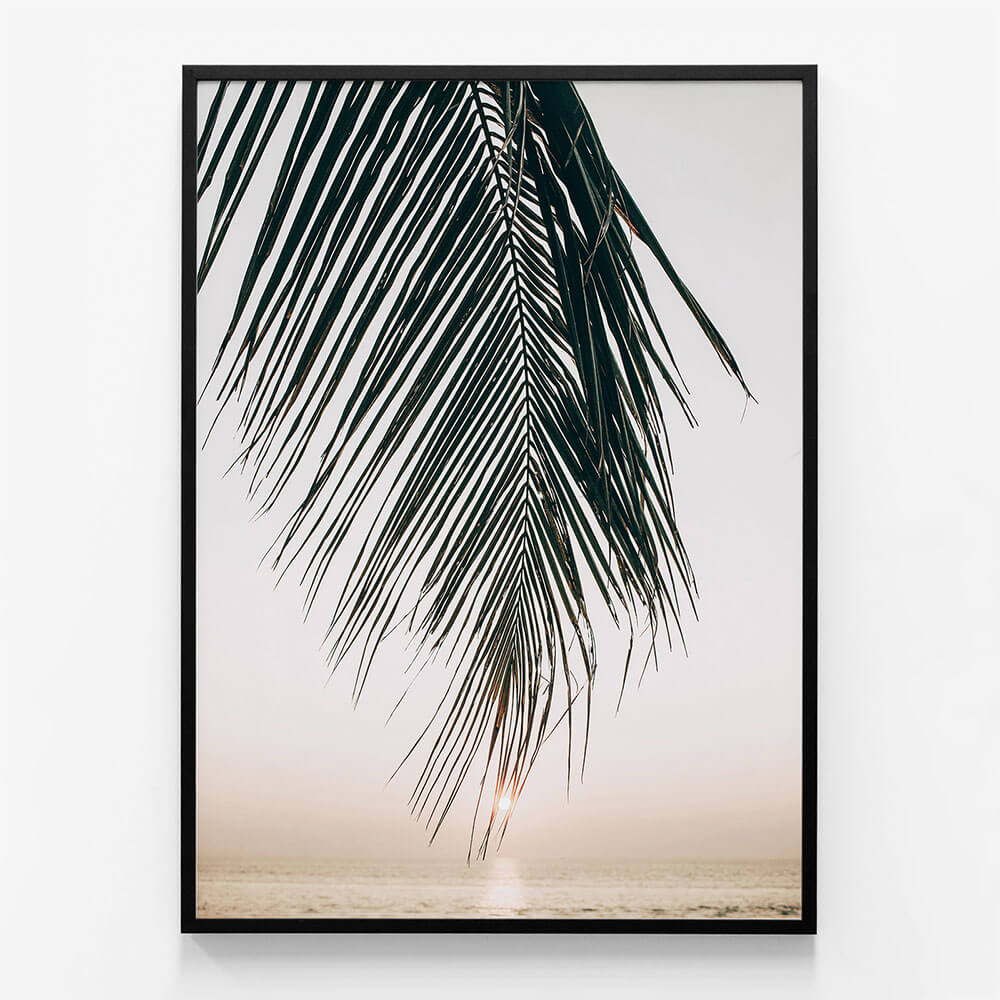 Sunset Palm