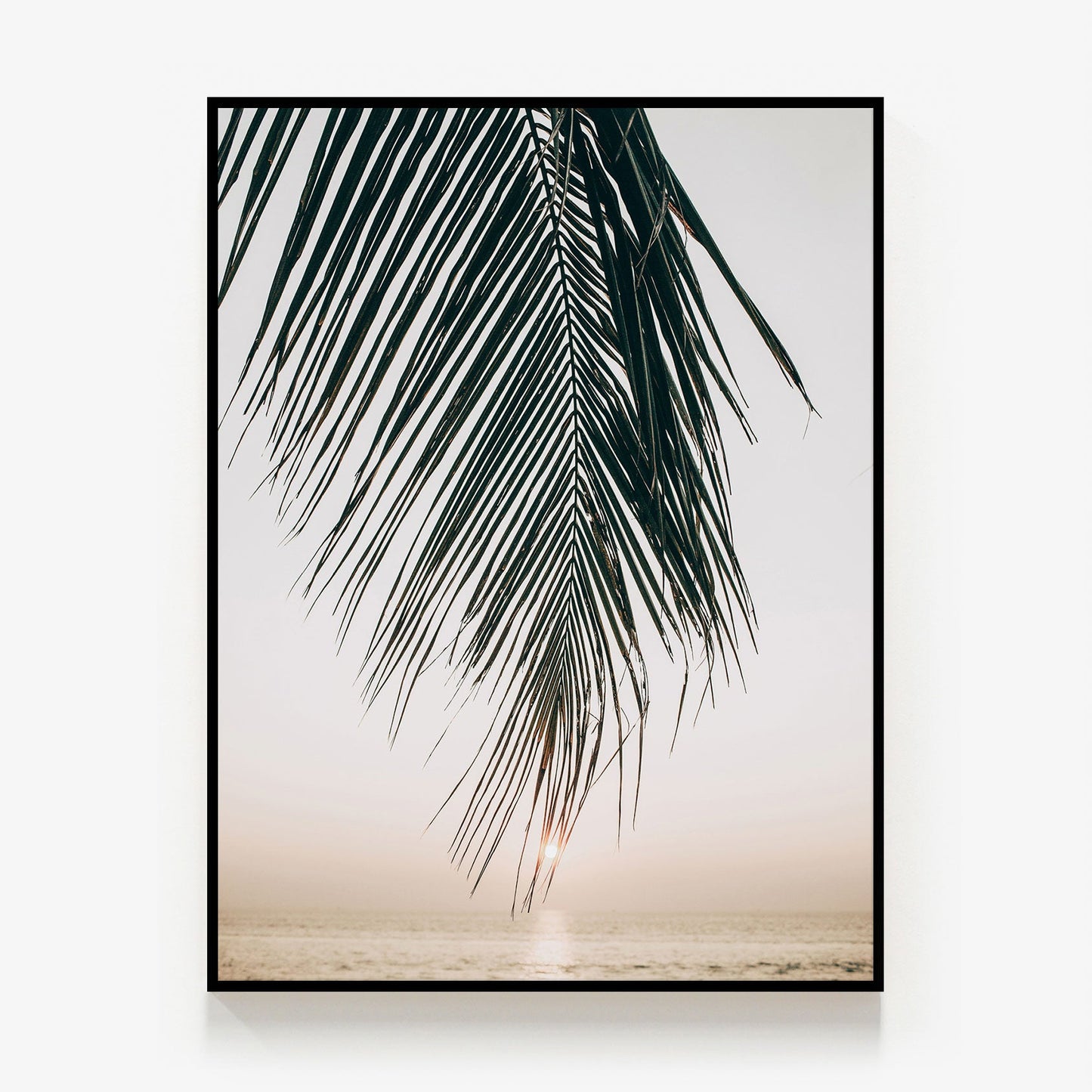 Sunset Palm Canvas