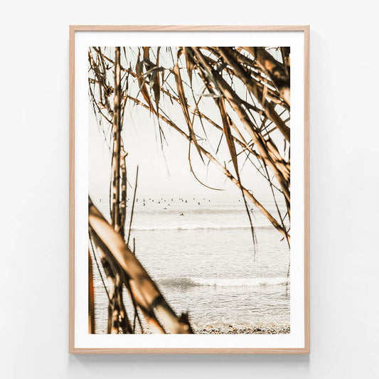 Surf View