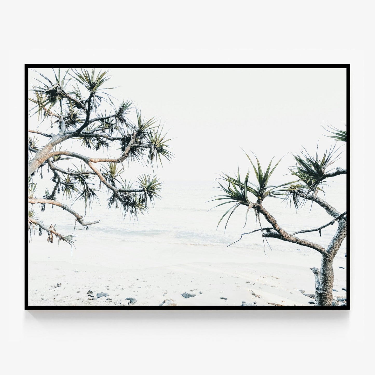 Tea Tree Bay Beach Canvas