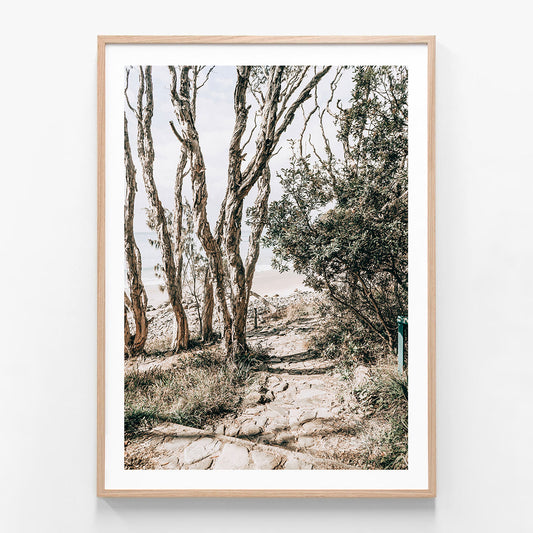 Tea Tree Bay Walk