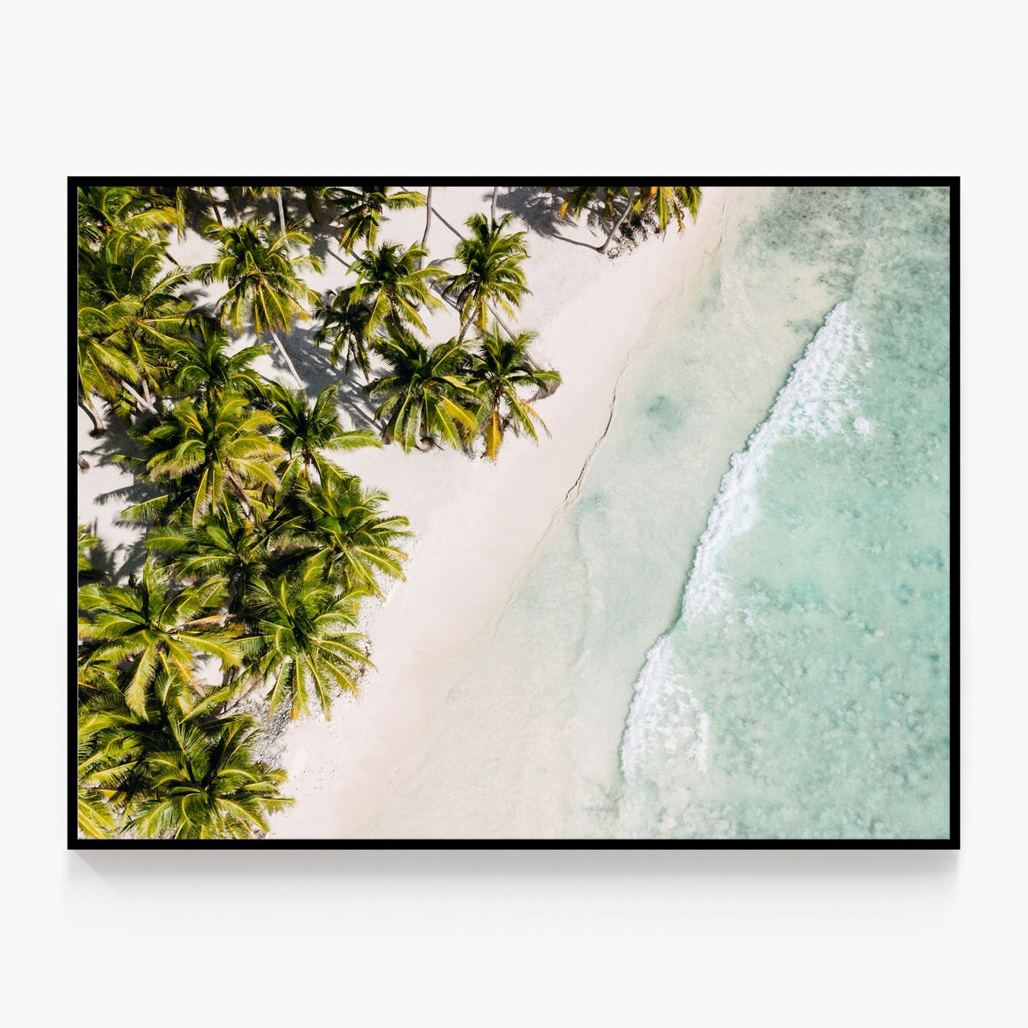 Tropic Coast Canvas