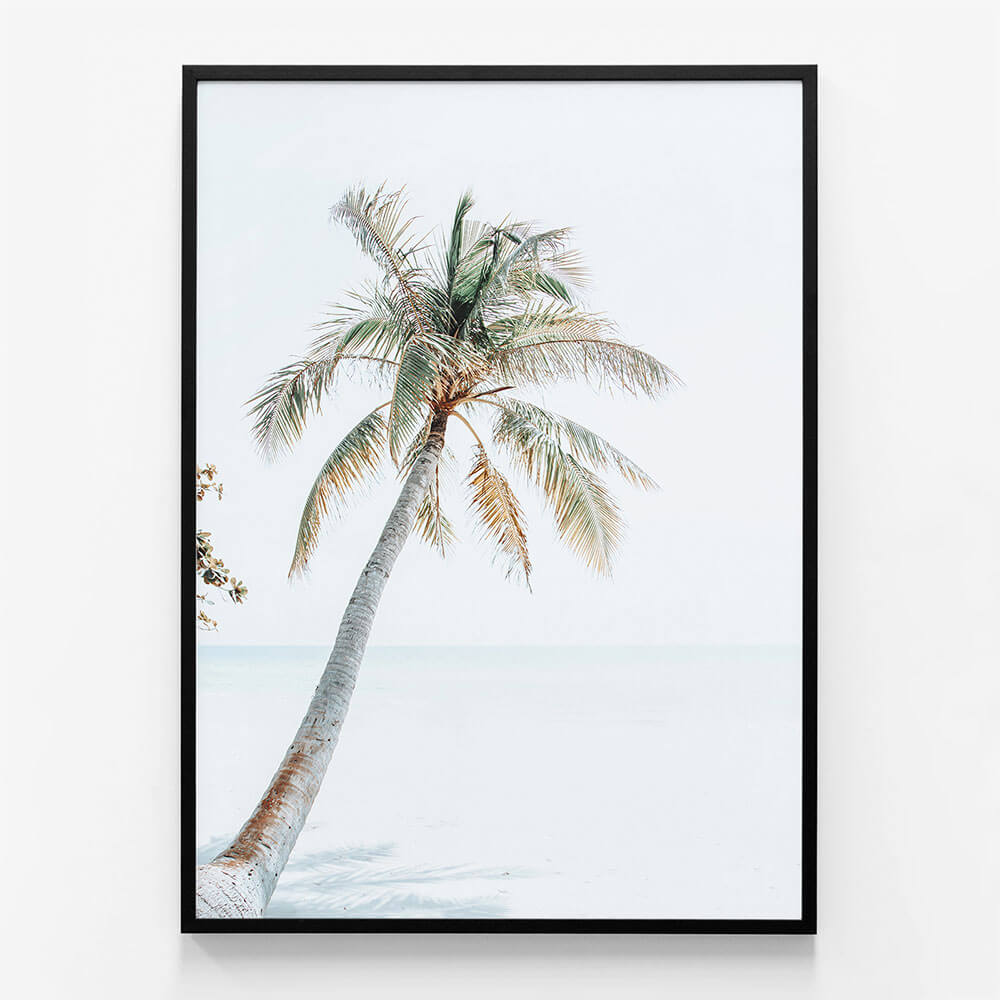 Tropical Beach