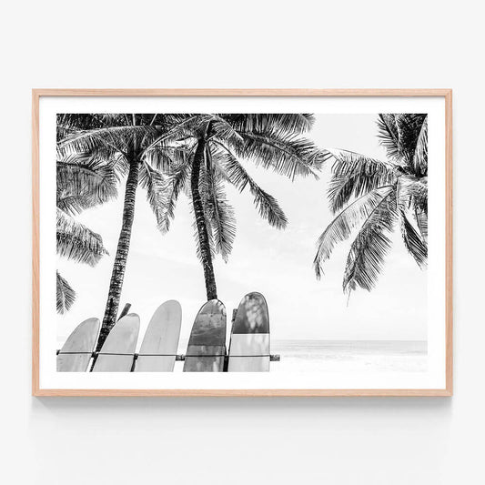 Tropical Boards B&W