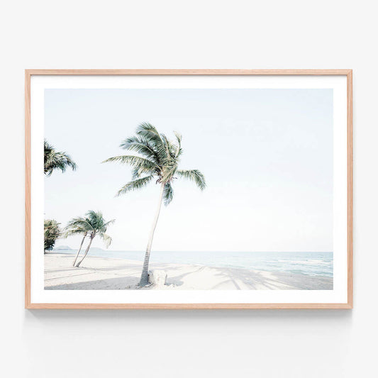 Tropical View