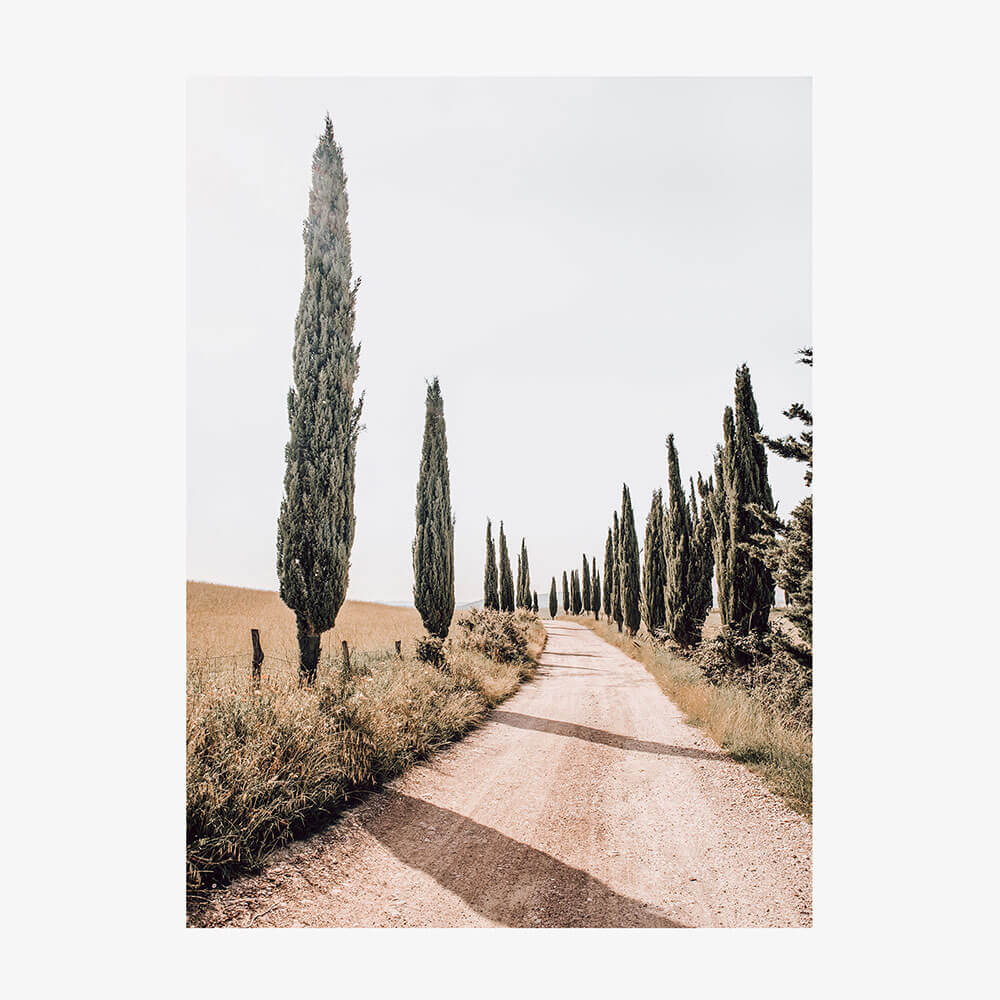 Tuscan Pines