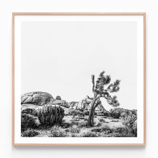 Twentynine Palms