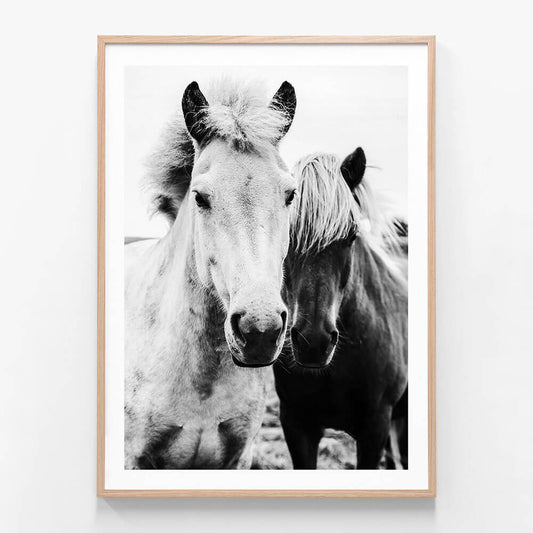 Two Mares