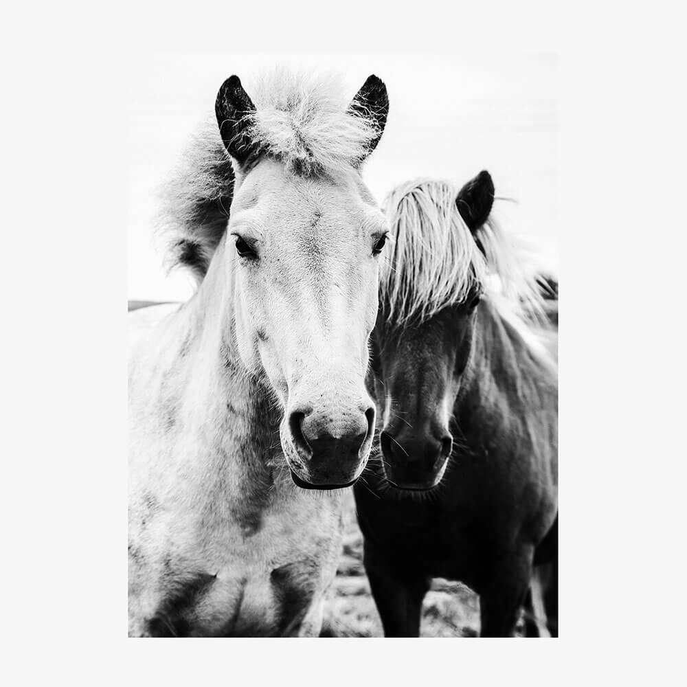 Two Mares