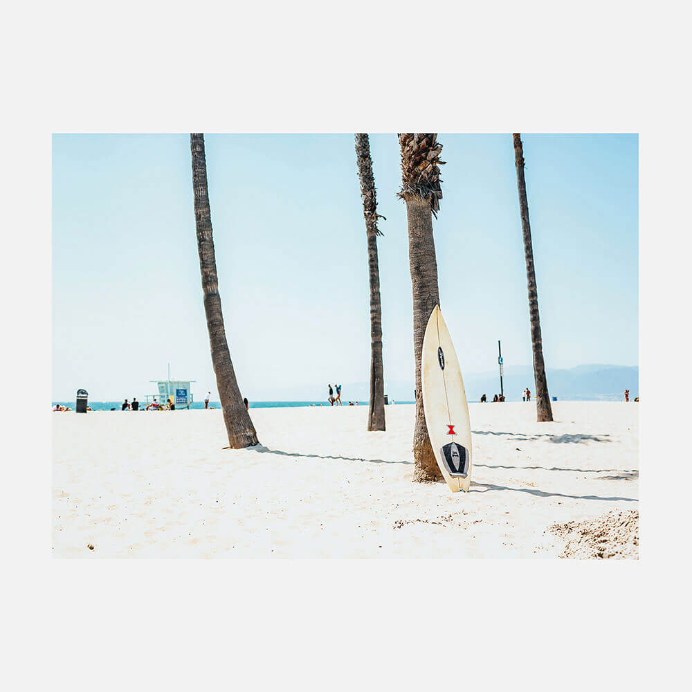Venice Board