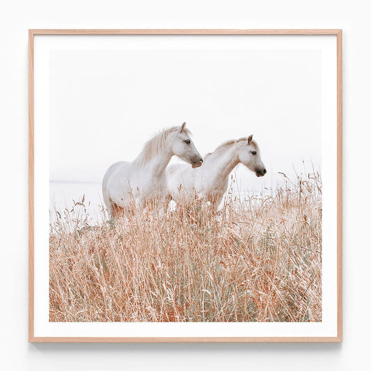 Welsh Horses