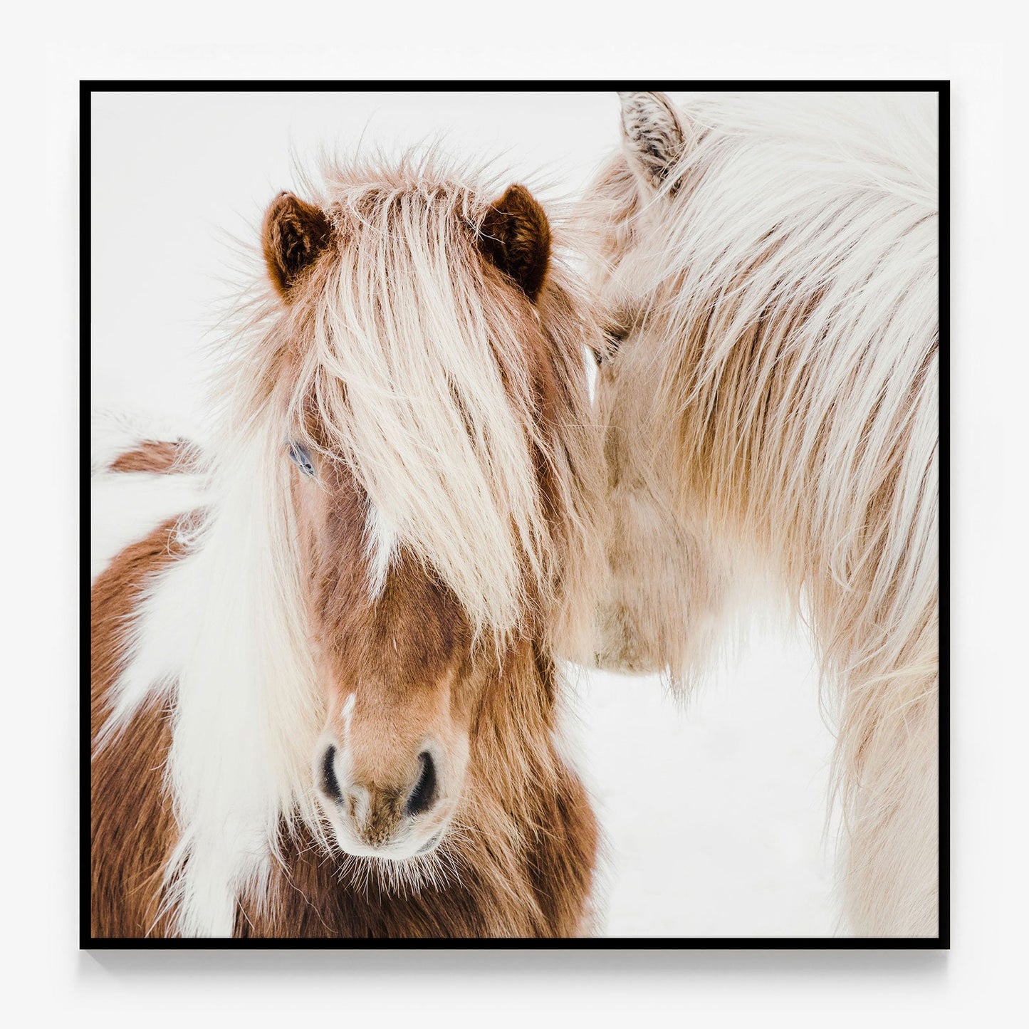 Whisper Canvas
