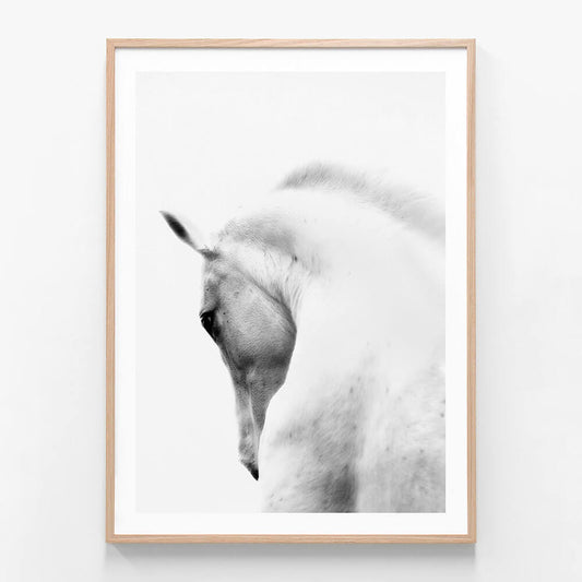 White Stallion