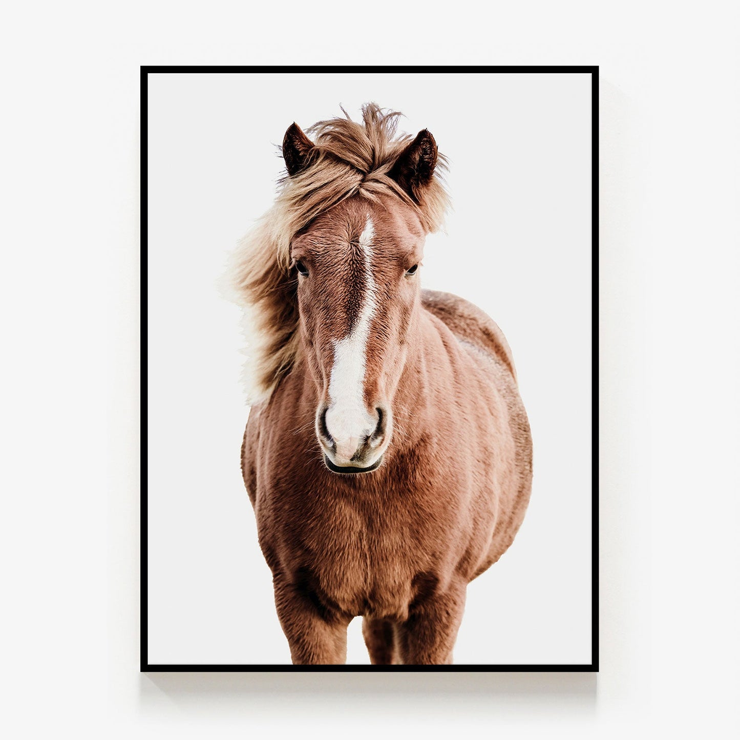 Wild Horse No. 5 Canvas