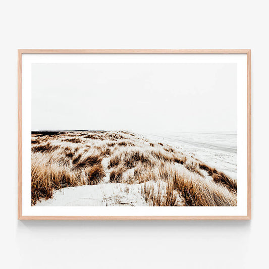 Winter Coast