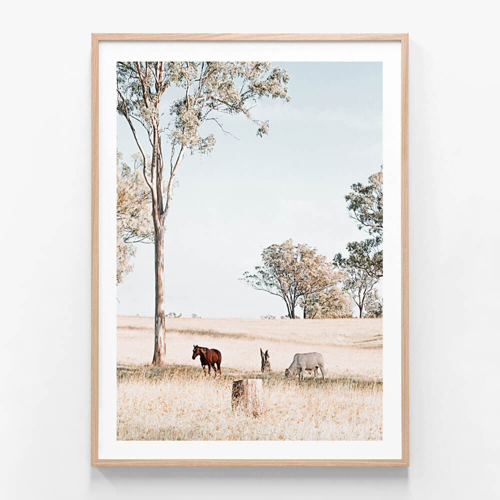 Visum mandig Missionær Australian Landscape | Framed Print or Poster Wall Art | 41 Orchard